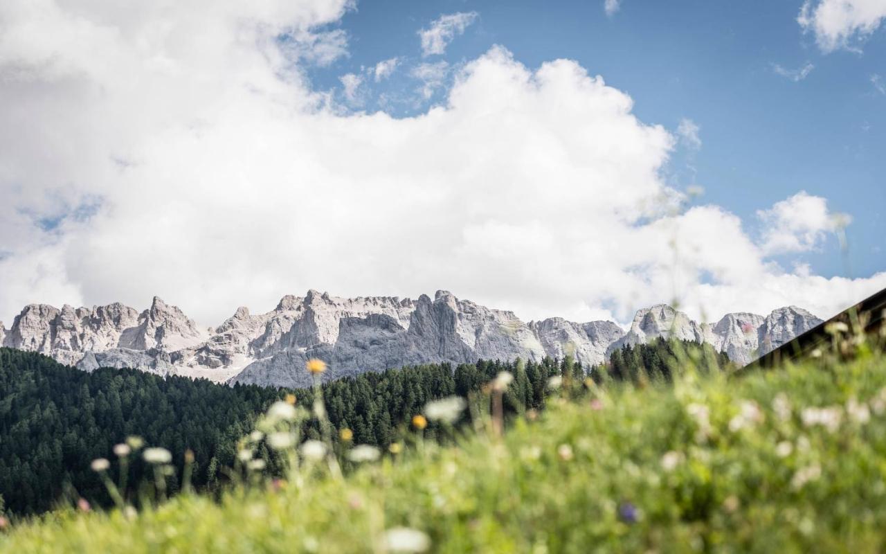 Cadepunt The Dolomites Lodge Selva di Val Gardena Exteriör bild